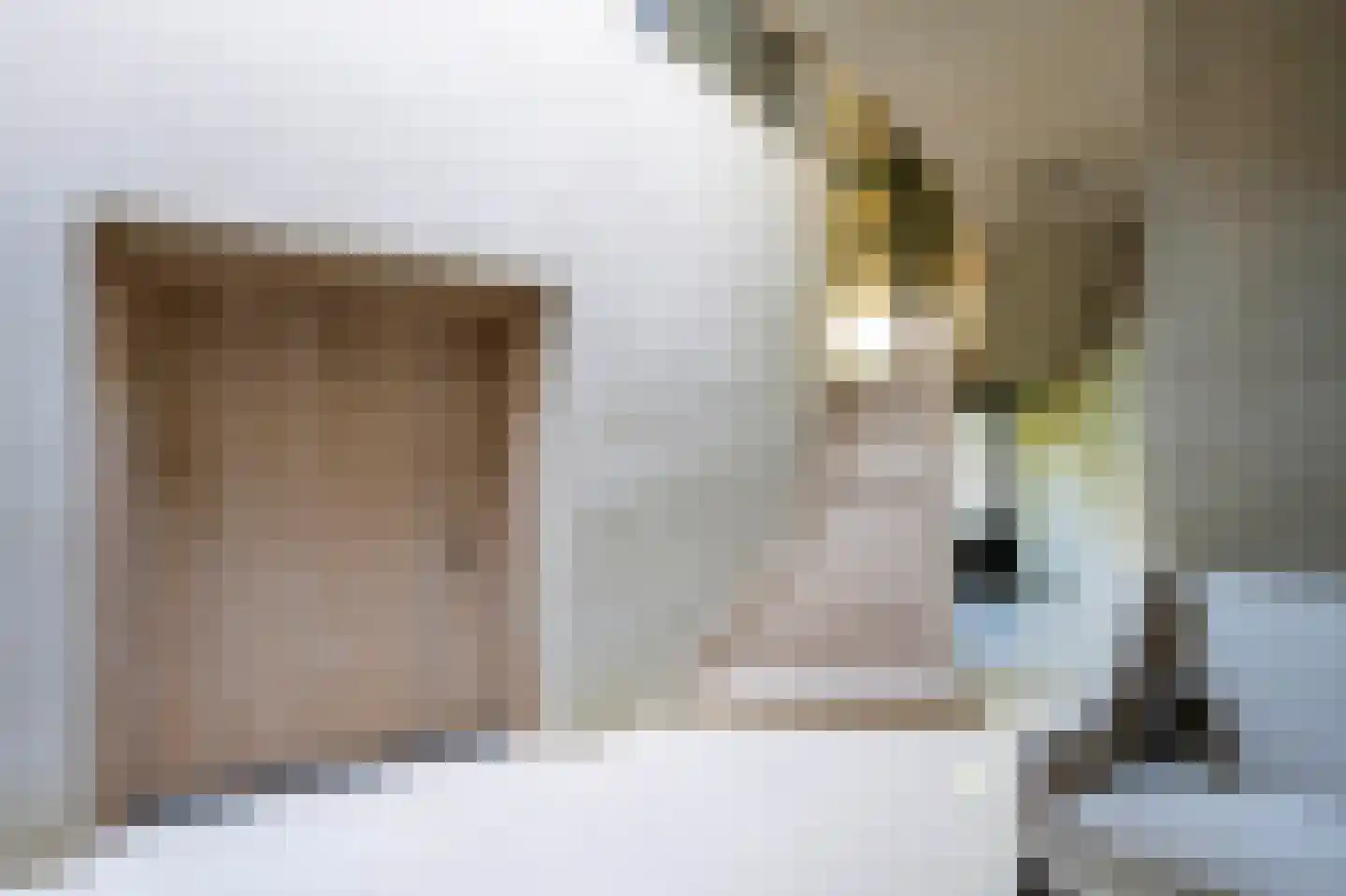 Soestdijkerweg 10 Den Dolder thumbnail 4