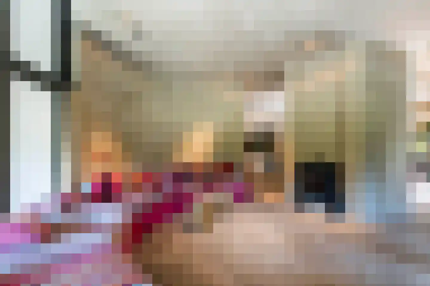 Soestdijkerweg 10 Den Dolder thumbnail 6