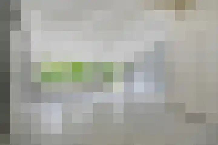 Soestdijkerweg 8 B Den Dolder thumbnail 10
