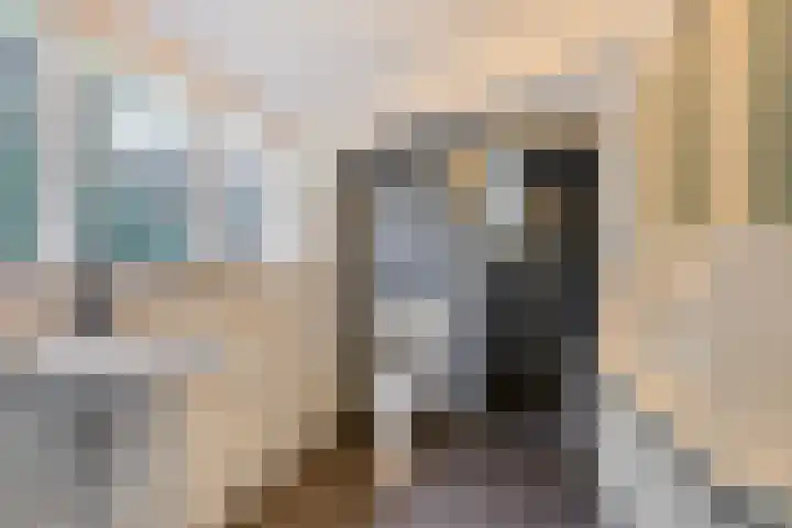 Soestdijkerweg 8 B Den Dolder thumbnail 16