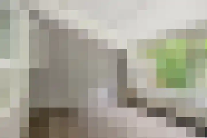 Soestdijkerweg 8 B Den Dolder thumbnail 17