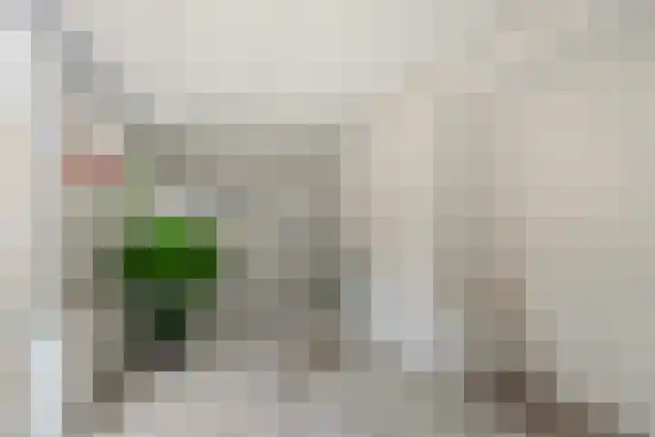 Soestdijkerweg 8 B Den Dolder thumbnail 22