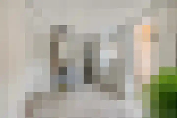Soestdijkerweg 8 B Den Dolder thumbnail 23