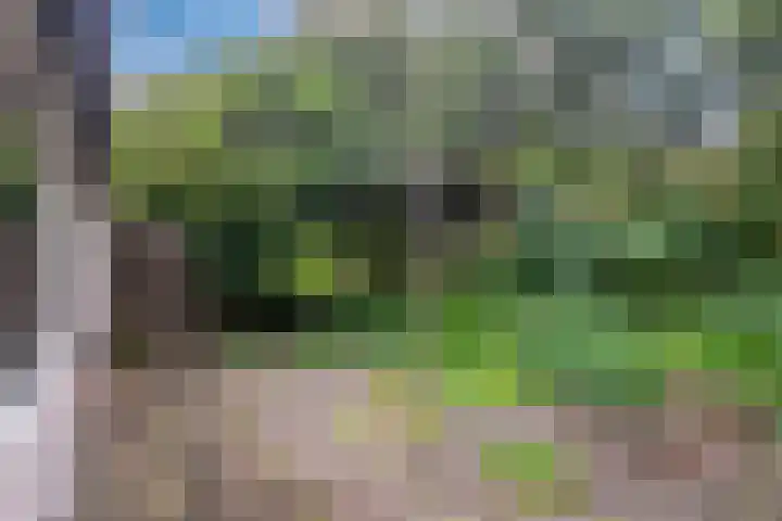 Soestdijkerweg 8 B Den Dolder thumbnail 24
