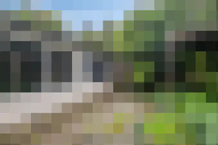 Soestdijkerweg 8 B Den Dolder thumbnail 25