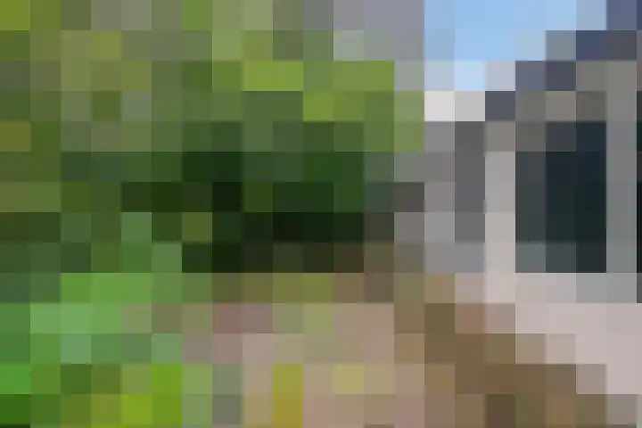 Soestdijkerweg 8 B Den Dolder thumbnail 26