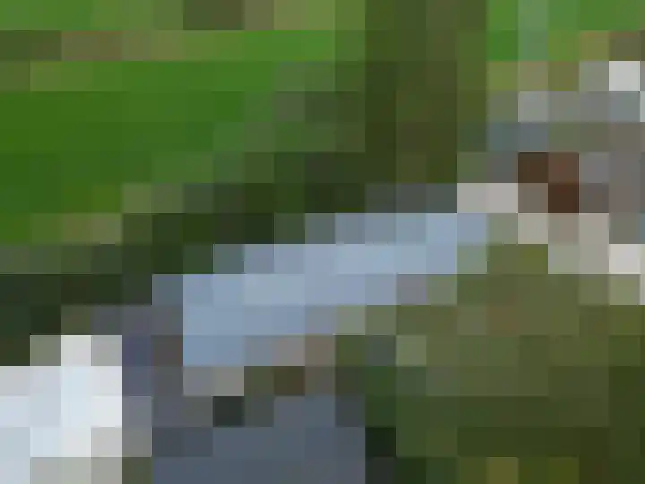 Soestdijkerweg 8 B Den Dolder thumbnail 27