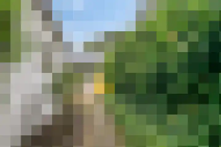 Soestdijkerweg 8 B Den Dolder thumbnail 4