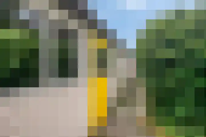 Soestdijkerweg 8 B Den Dolder thumbnail 5