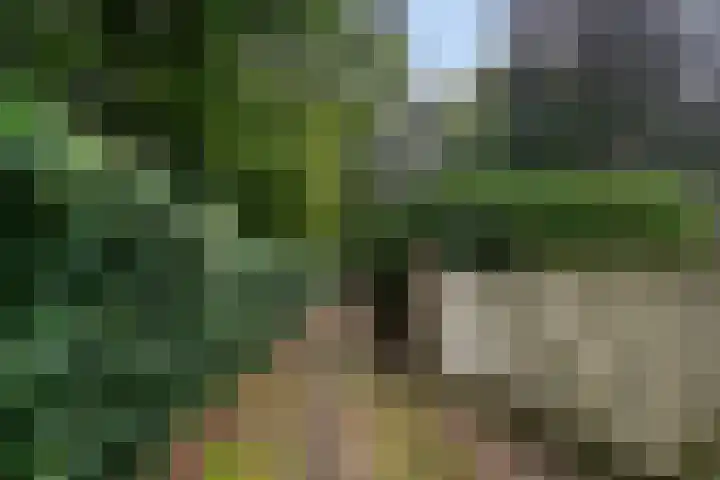 Soestdijkerweg 8 B Den Dolder thumbnail 6
