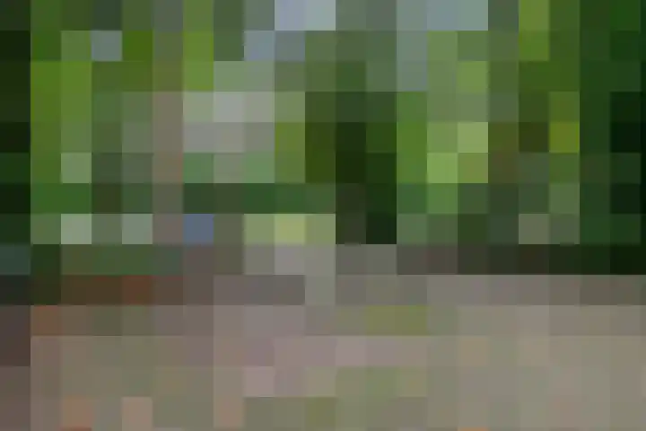 Soestdijkerweg 8 B Den Dolder thumbnail 7