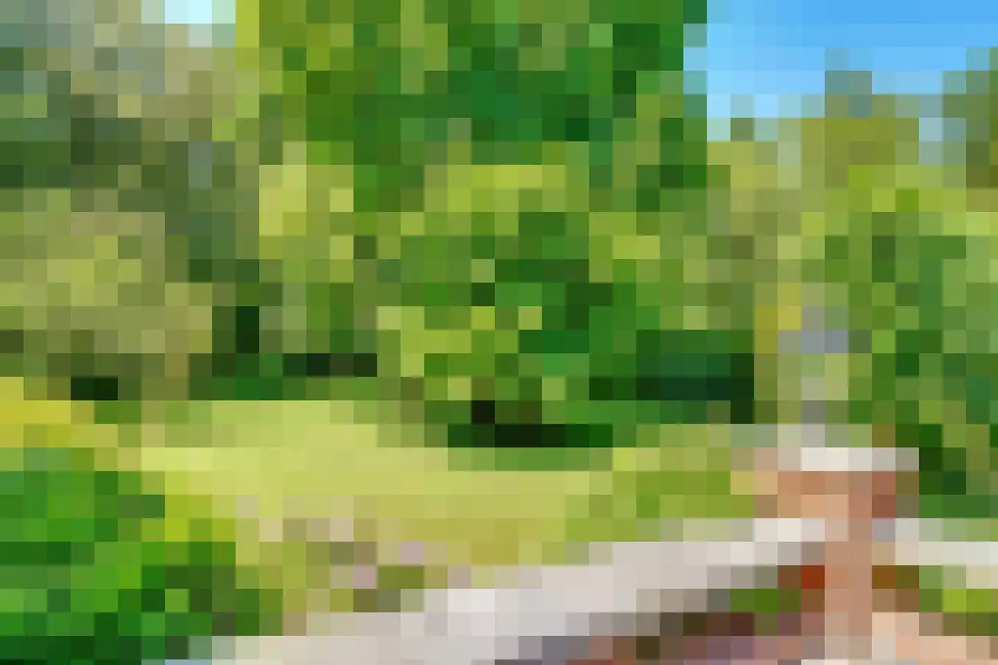 Soestdijkerweg 9 Den Dolder thumbnail 11