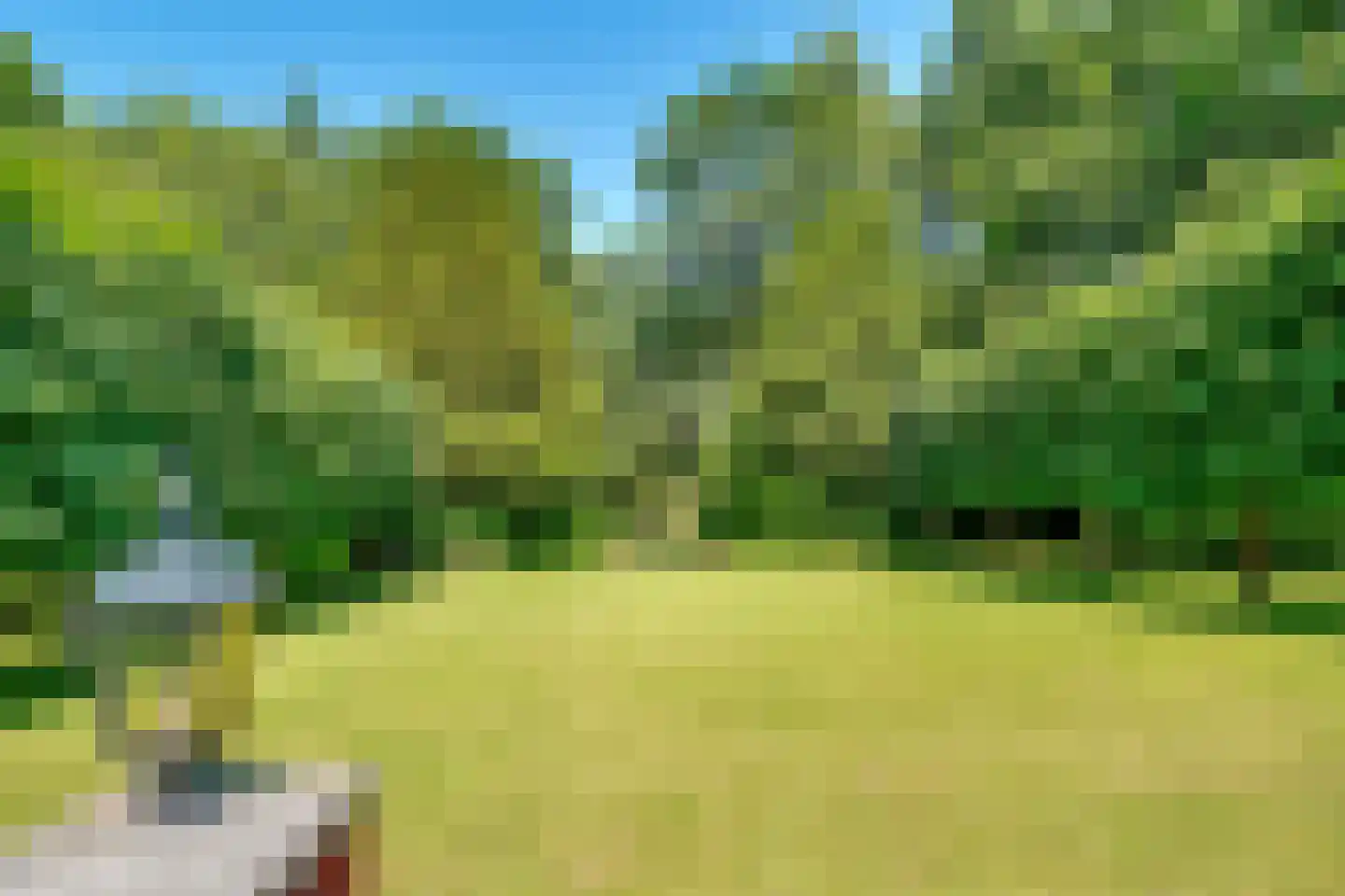 Soestdijkerweg 9 Den Dolder thumbnail 12