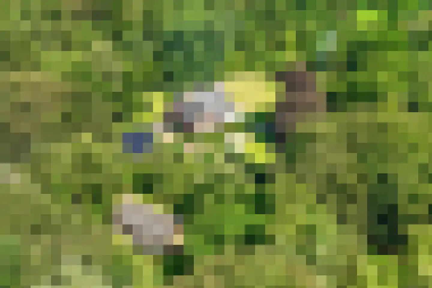 Soestdijkerweg 9 Den Dolder thumbnail 4