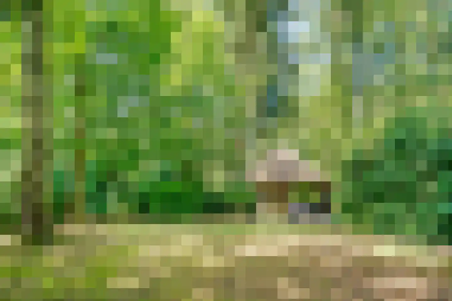 Soestdijkerweg 9 Den Dolder thumbnail 42