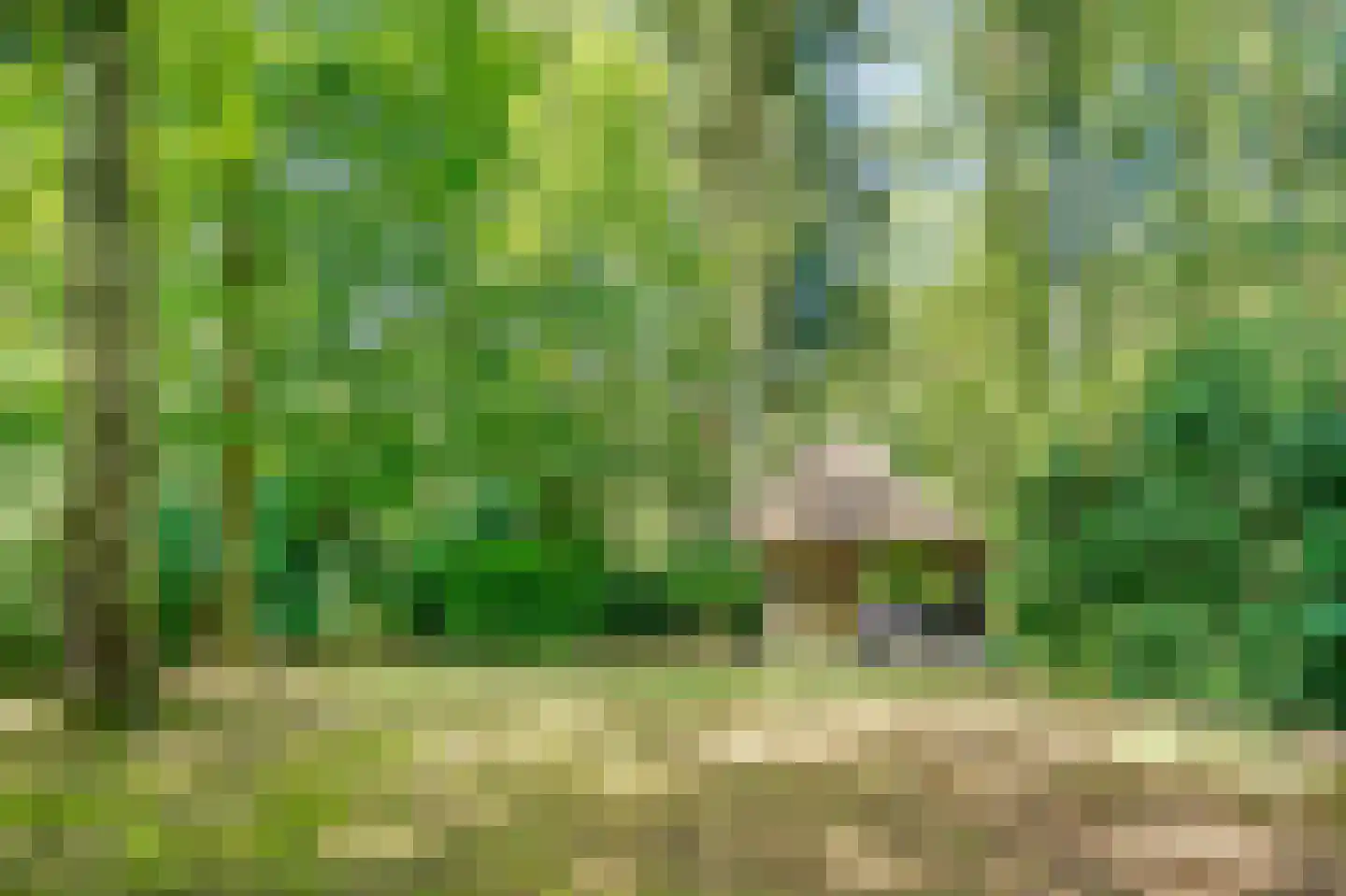 Soestdijkerweg 9 Den Dolder thumbnail 42