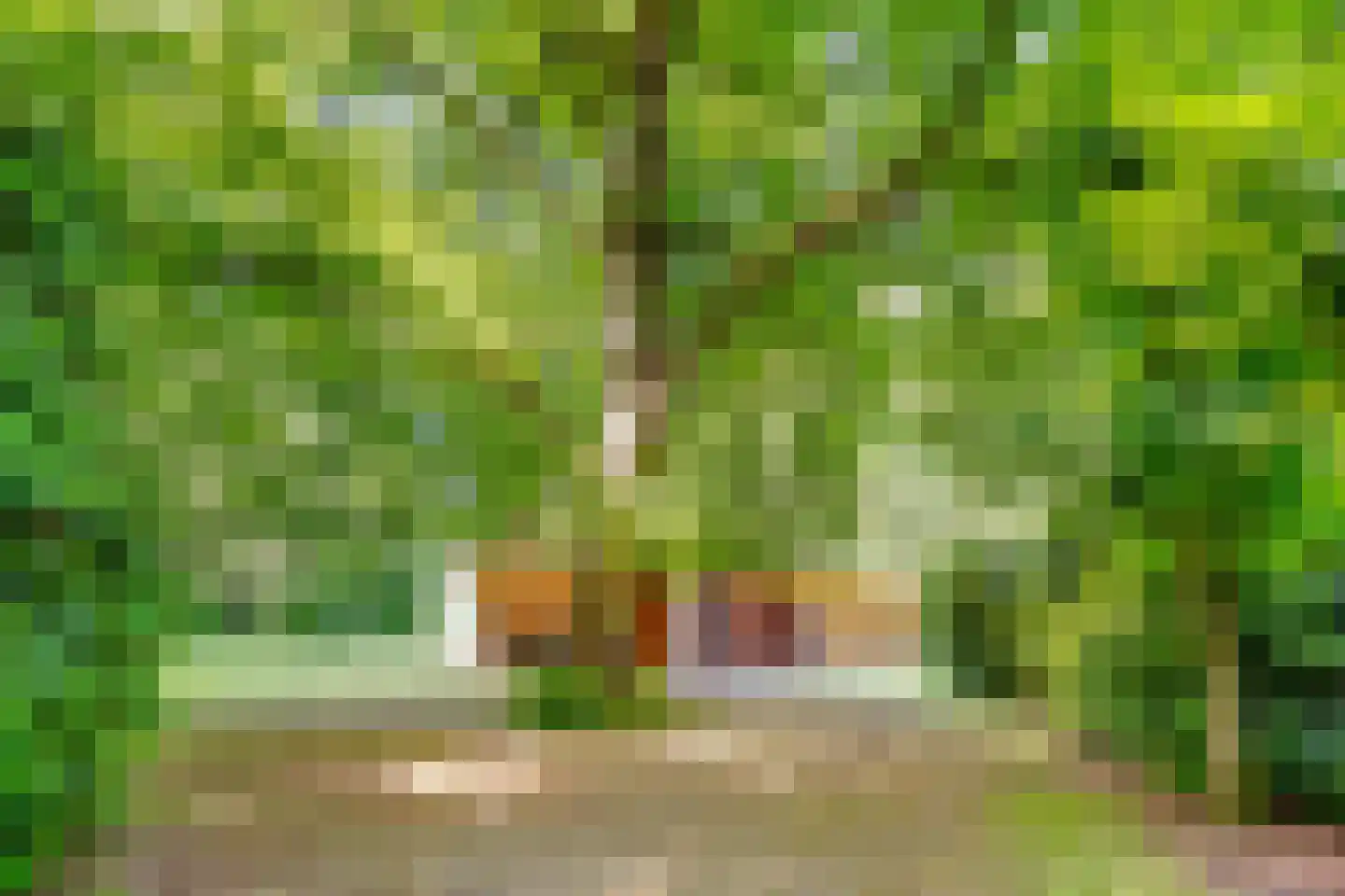 Soestdijkerweg 9 Den Dolder thumbnail 43