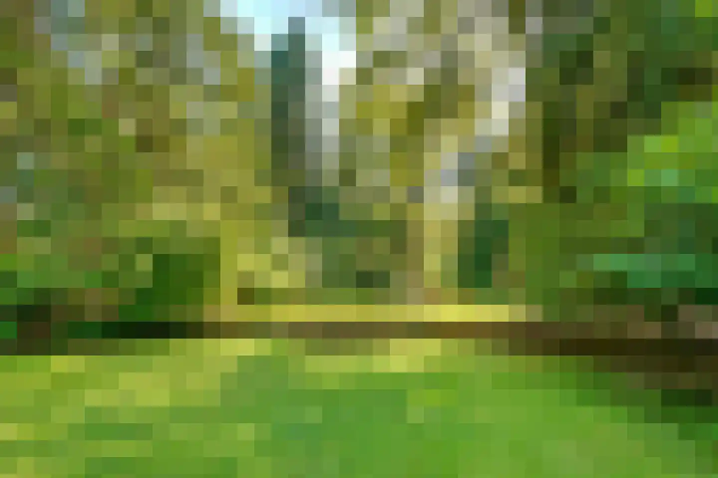 Soestdijkerweg 9 Den Dolder thumbnail 45
