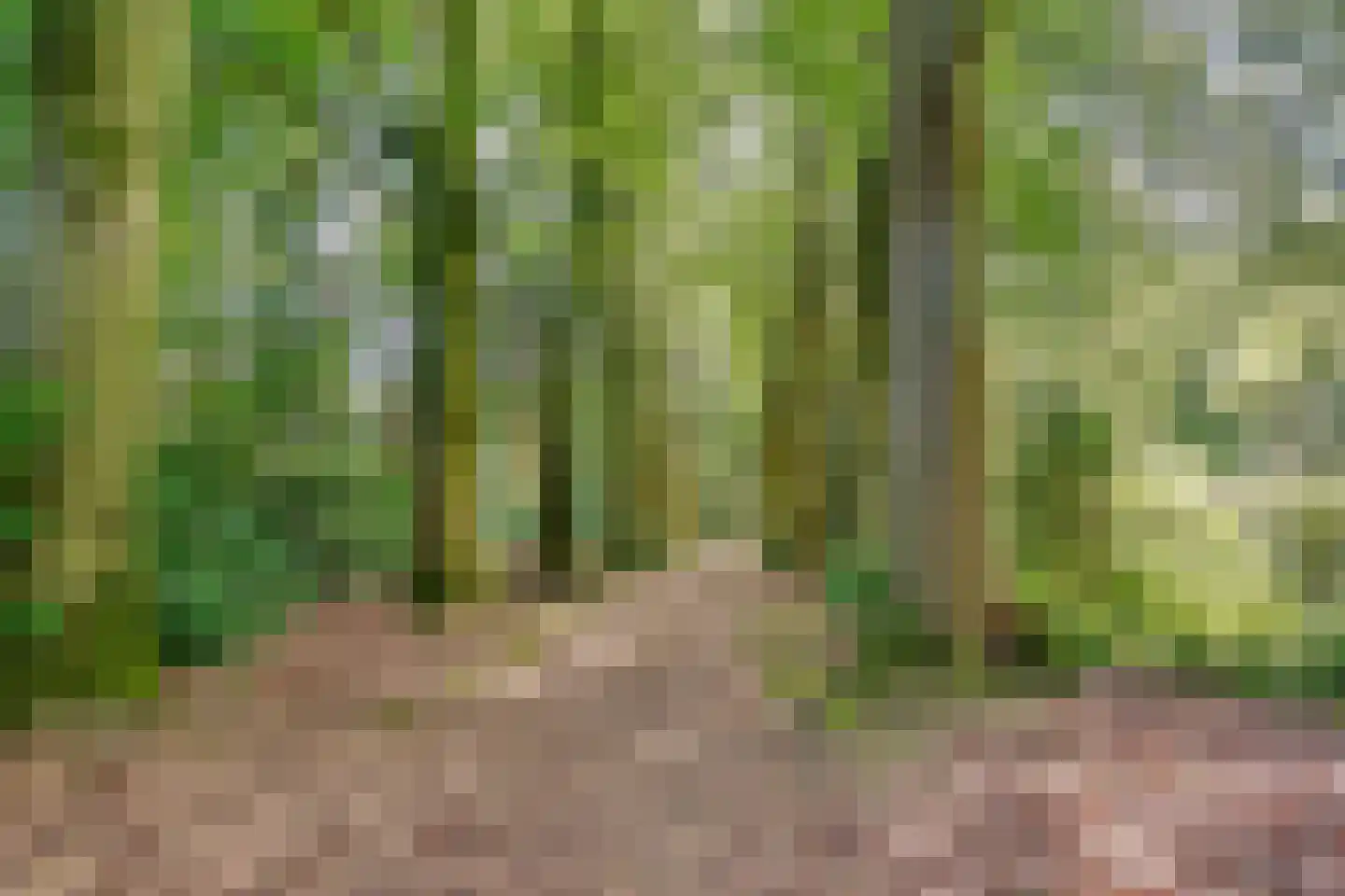 Soestdijkerweg 9 Den Dolder thumbnail 46