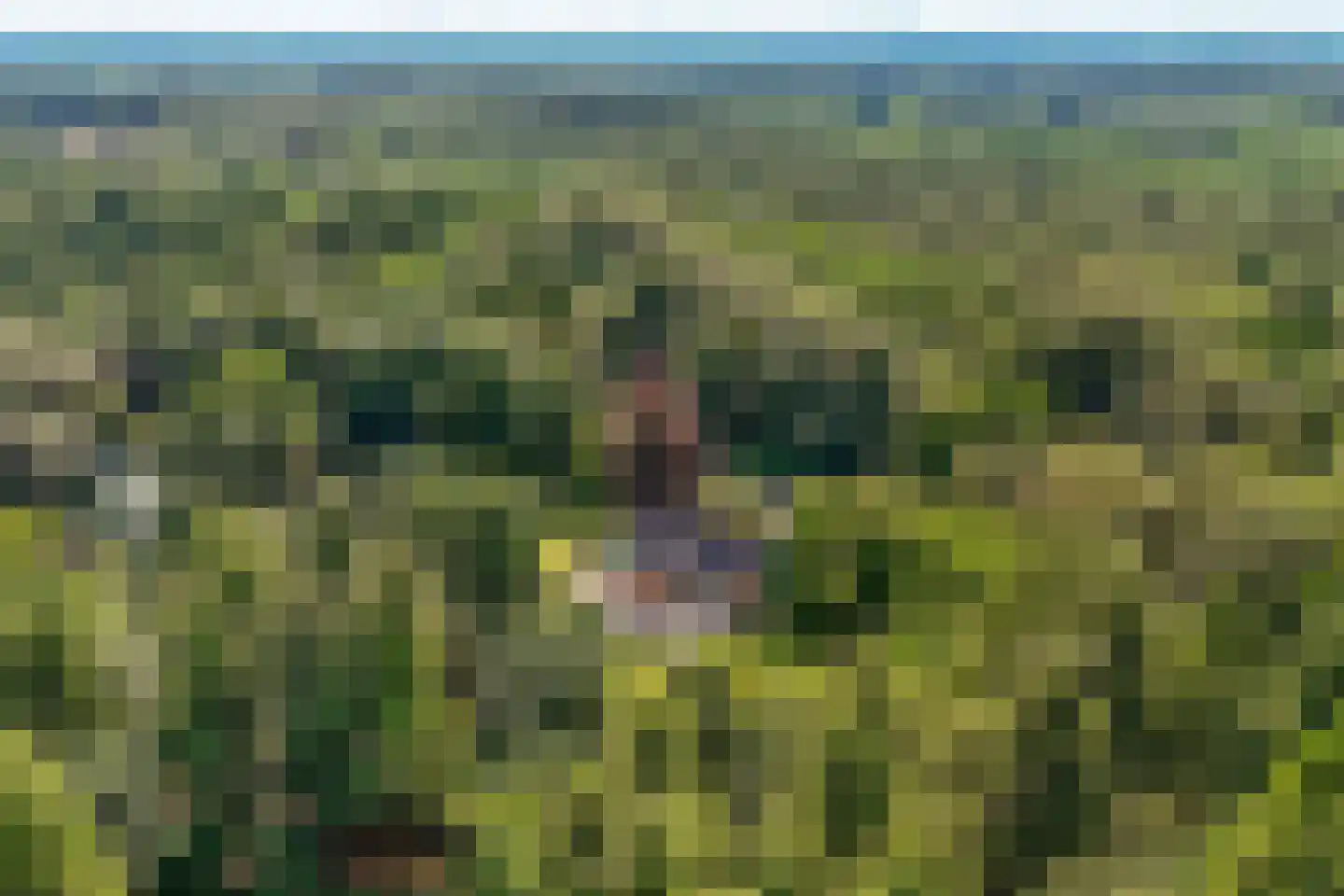 Soestdijkerweg 9 Den Dolder thumbnail 47