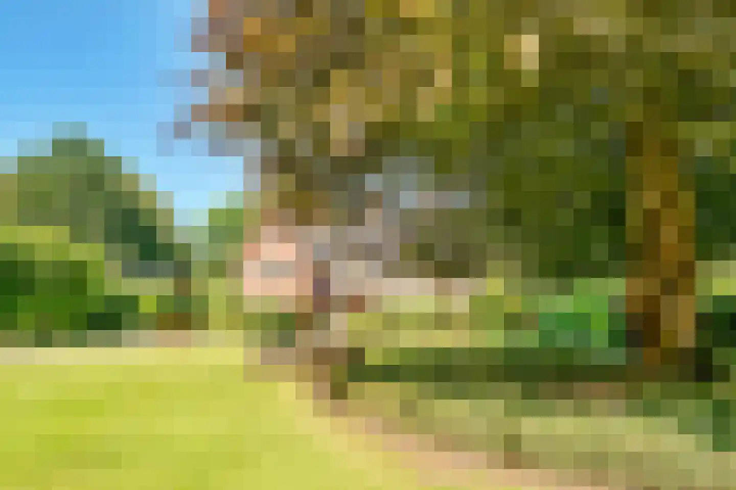 Soestdijkerweg 9 Den Dolder thumbnail 6
