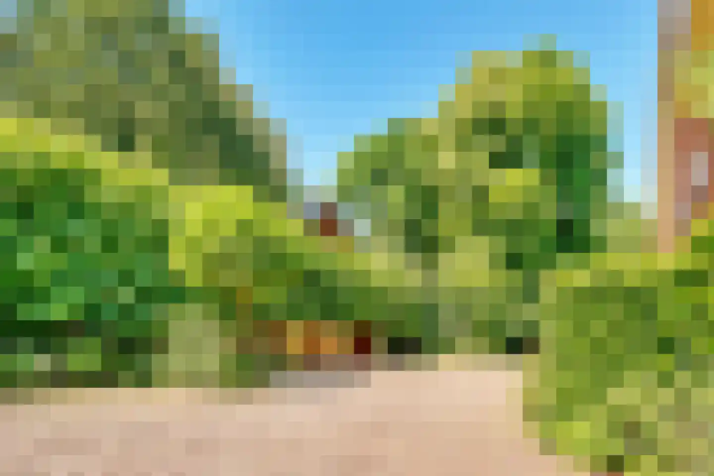 Soestdijkerweg 9 Den Dolder thumbnail 8