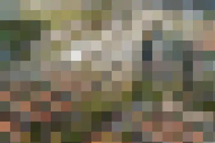 Soestdijkkade 76 Leiden thumbnail 6