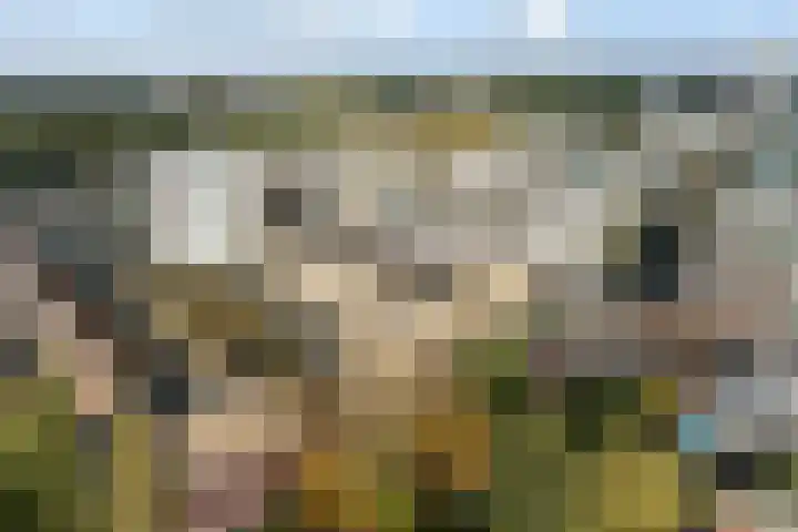 Soestdijkkade 76 Leiden thumbnail 7