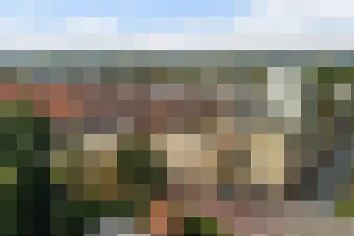 Soestdijkkade 76 Leiden thumbnail 9