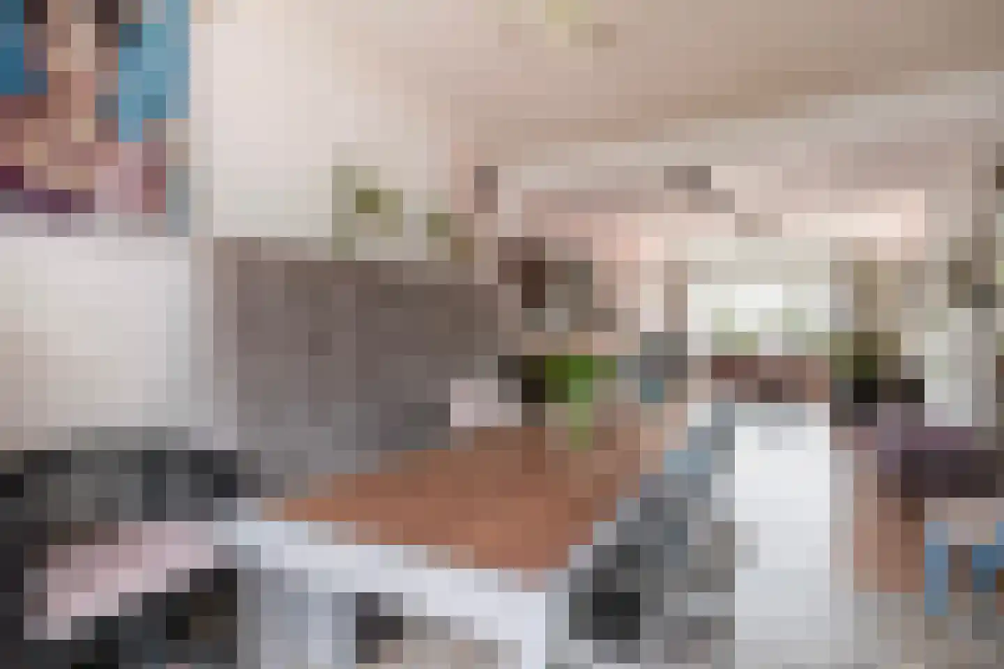 Soestdijksekade 1006 Den Haag thumbnail 15