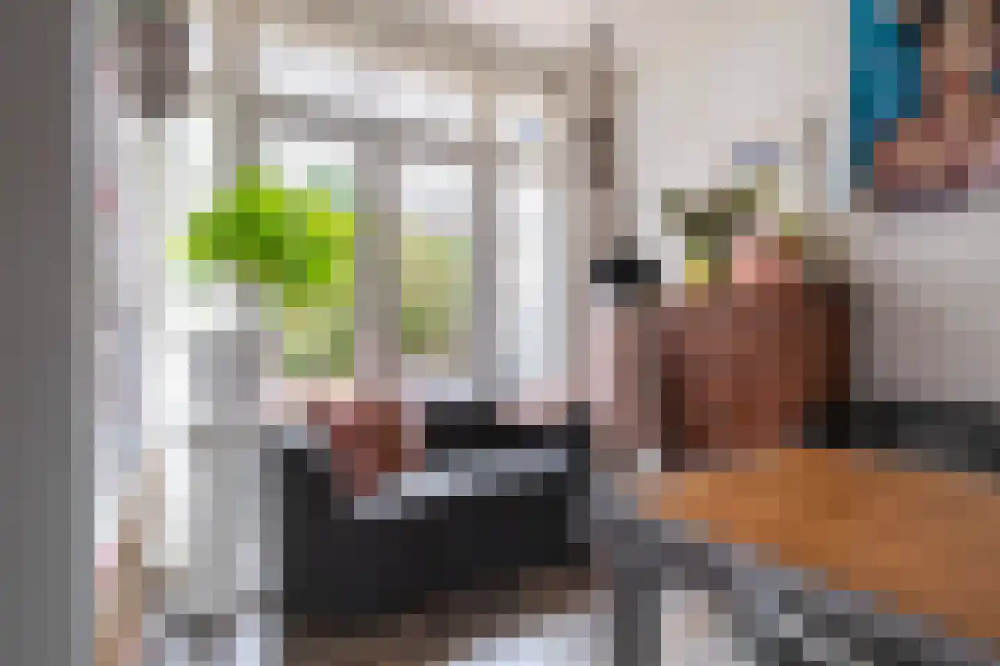 Soestdijksekade 1006 Den Haag thumbnail 17