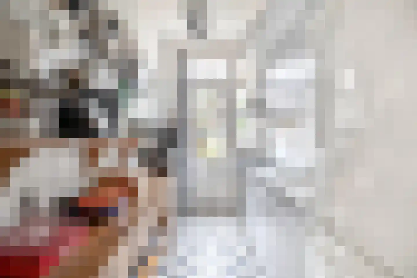 Soestdijksekade 1006 Den Haag thumbnail 19