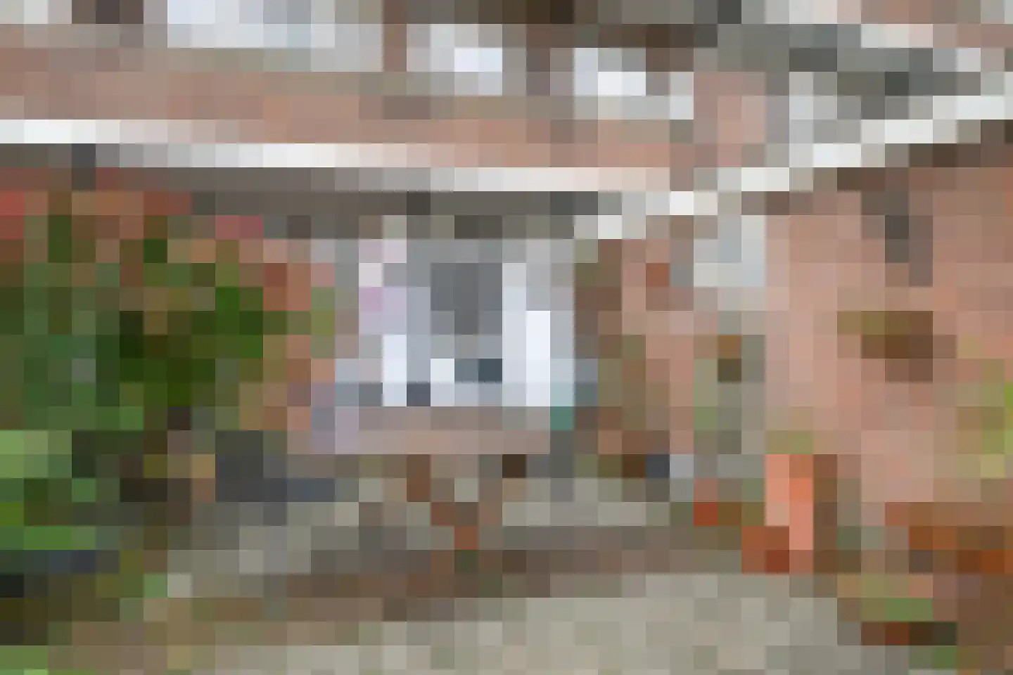 Soestdijksekade 1006 Den Haag thumbnail 23