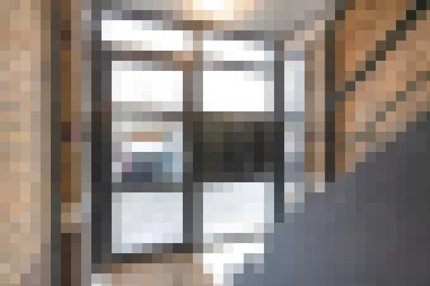 Soestdijksekade 1006 Den Haag thumbnail 7