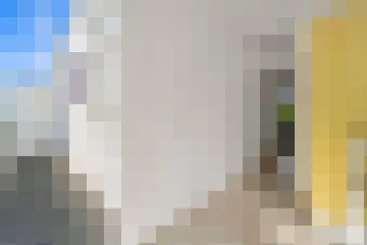 Soestdijksekade 102 Den Haag thumbnail 10