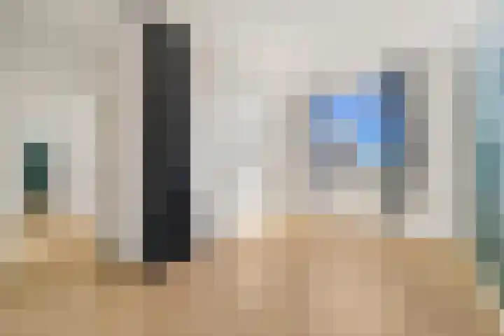 Soestdijksekade 102 Den Haag thumbnail 15