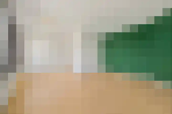 Soestdijksekade 102 Den Haag thumbnail 8