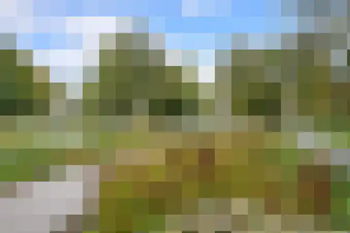 Soestdijksekade 1034 Den Haag thumbnail 21