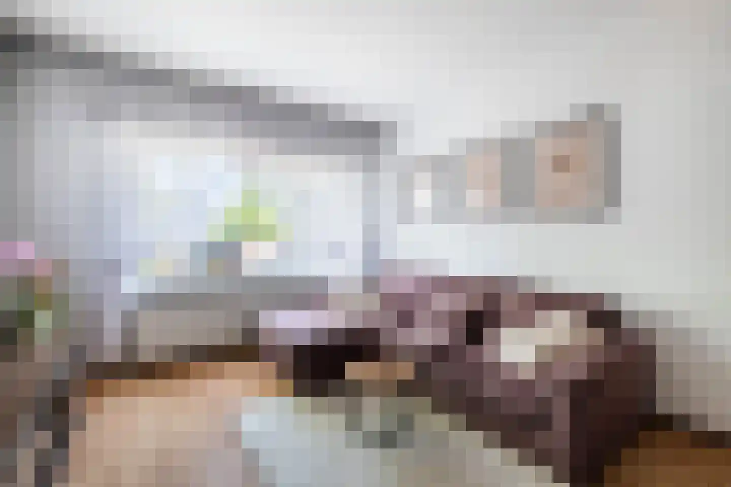 Soestdijksekade 1036 Den Haag thumbnail 10