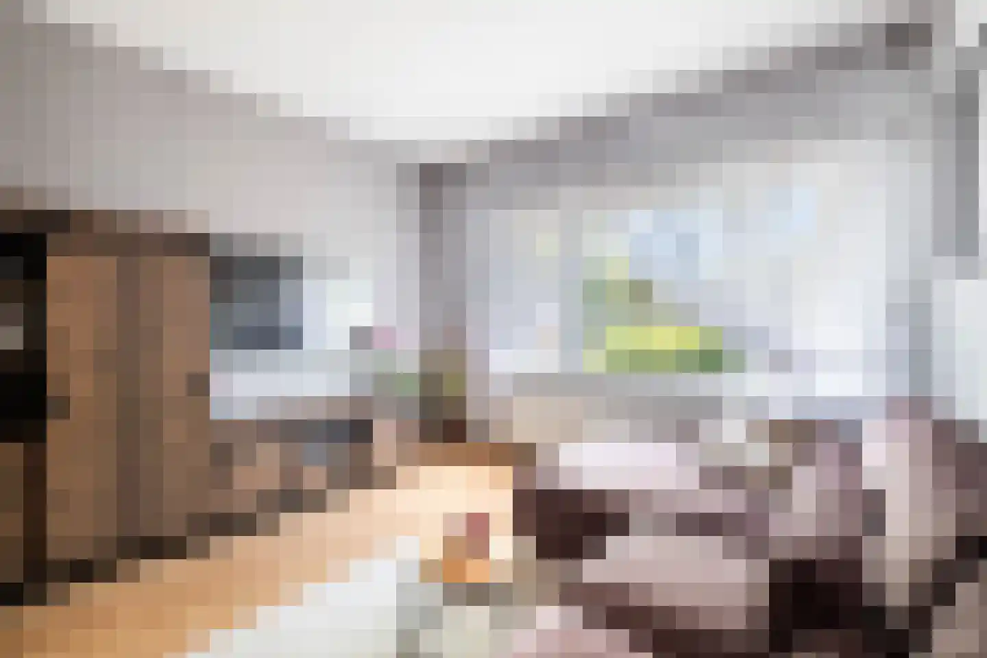 Soestdijksekade 1036 Den Haag thumbnail 11