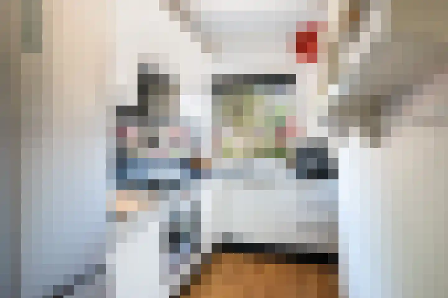 Soestdijksekade 1036 Den Haag thumbnail 13