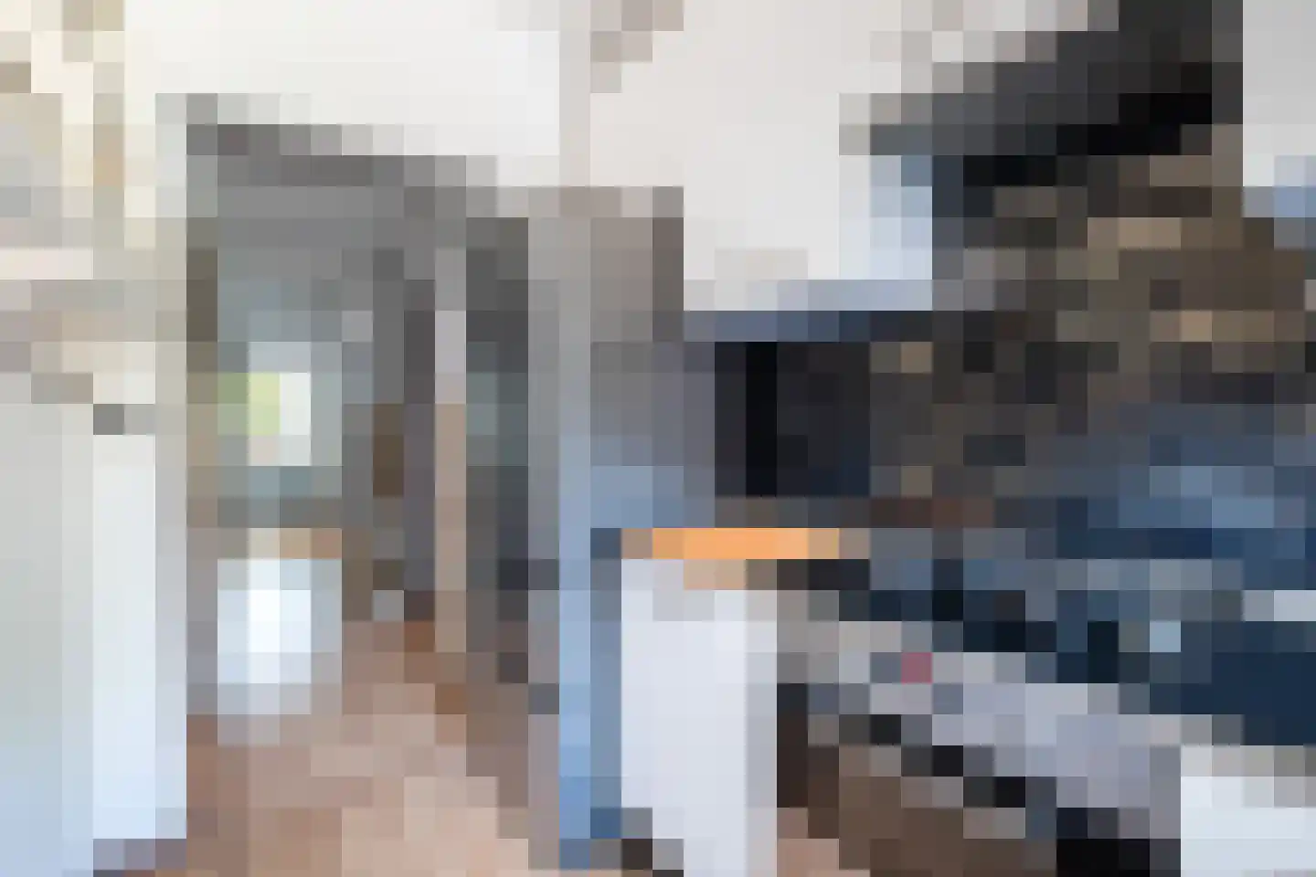Soestdijksekade 1036 Den Haag thumbnail 14