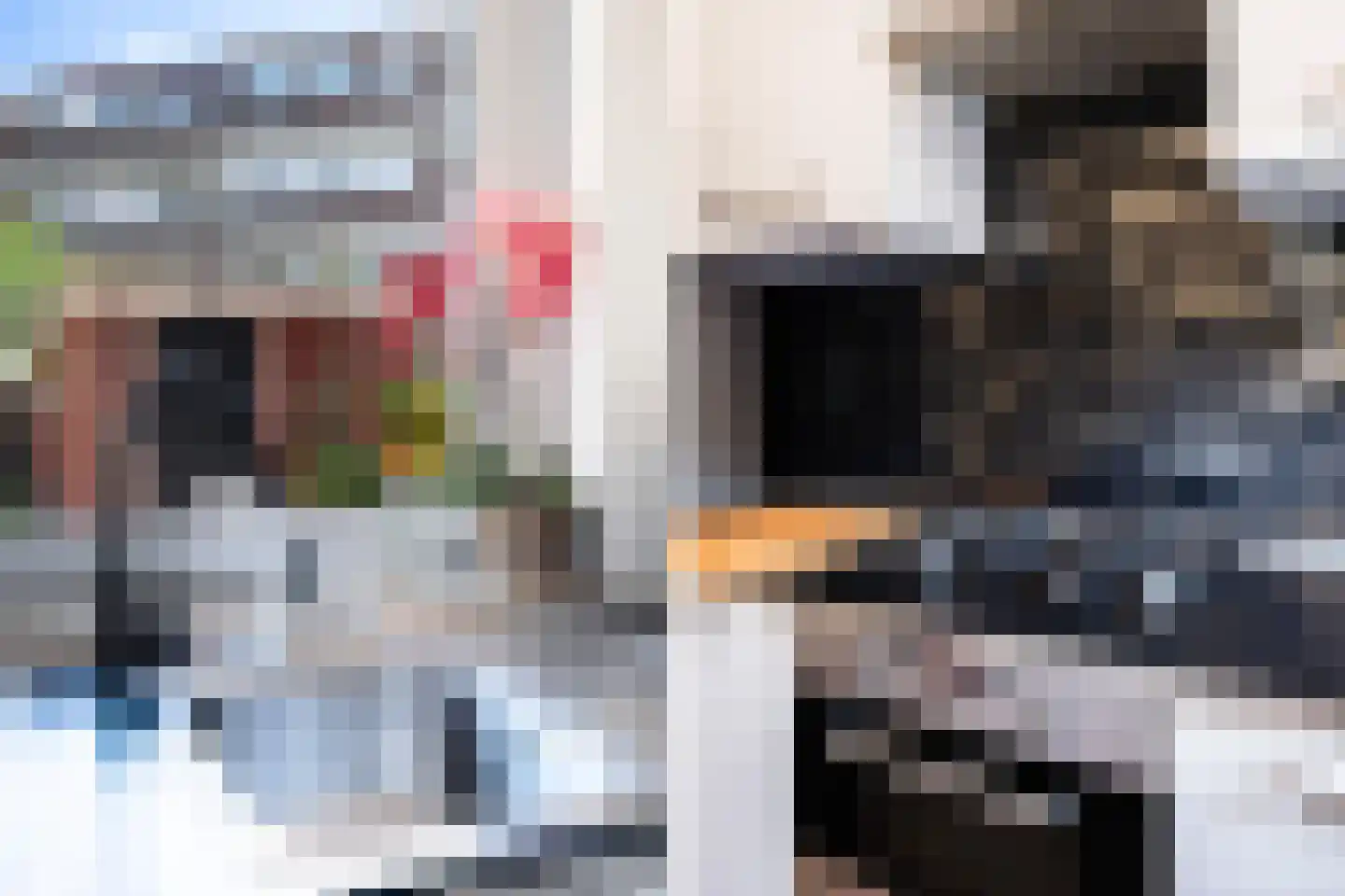 Soestdijksekade 1036 Den Haag thumbnail 15