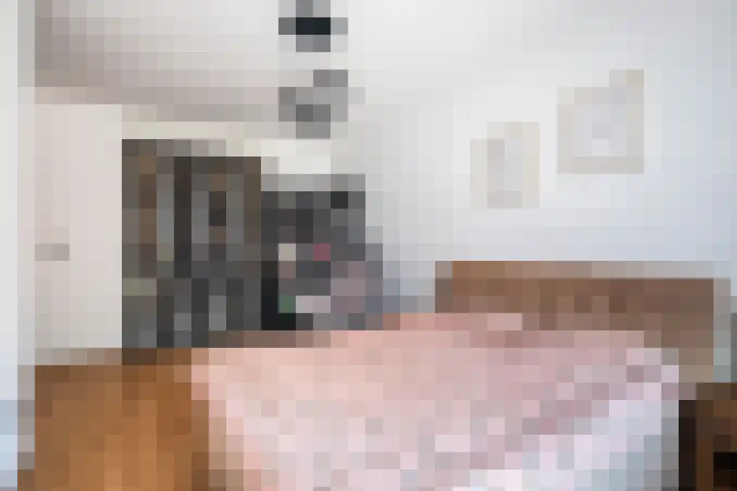Soestdijksekade 1036 Den Haag thumbnail 27