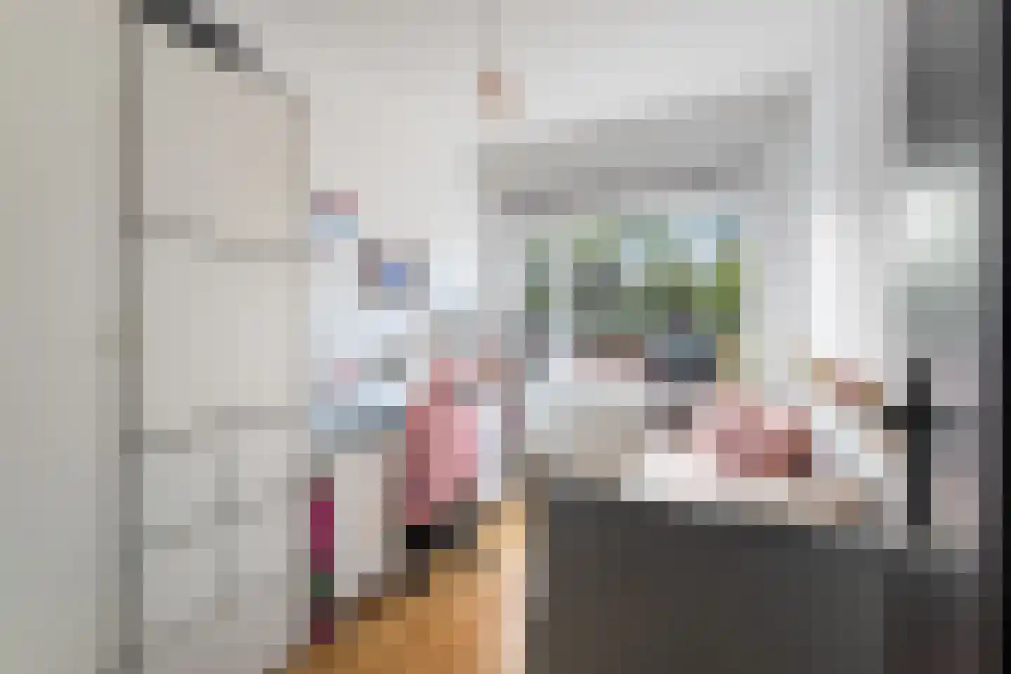 Soestdijksekade 1036 Den Haag thumbnail 34