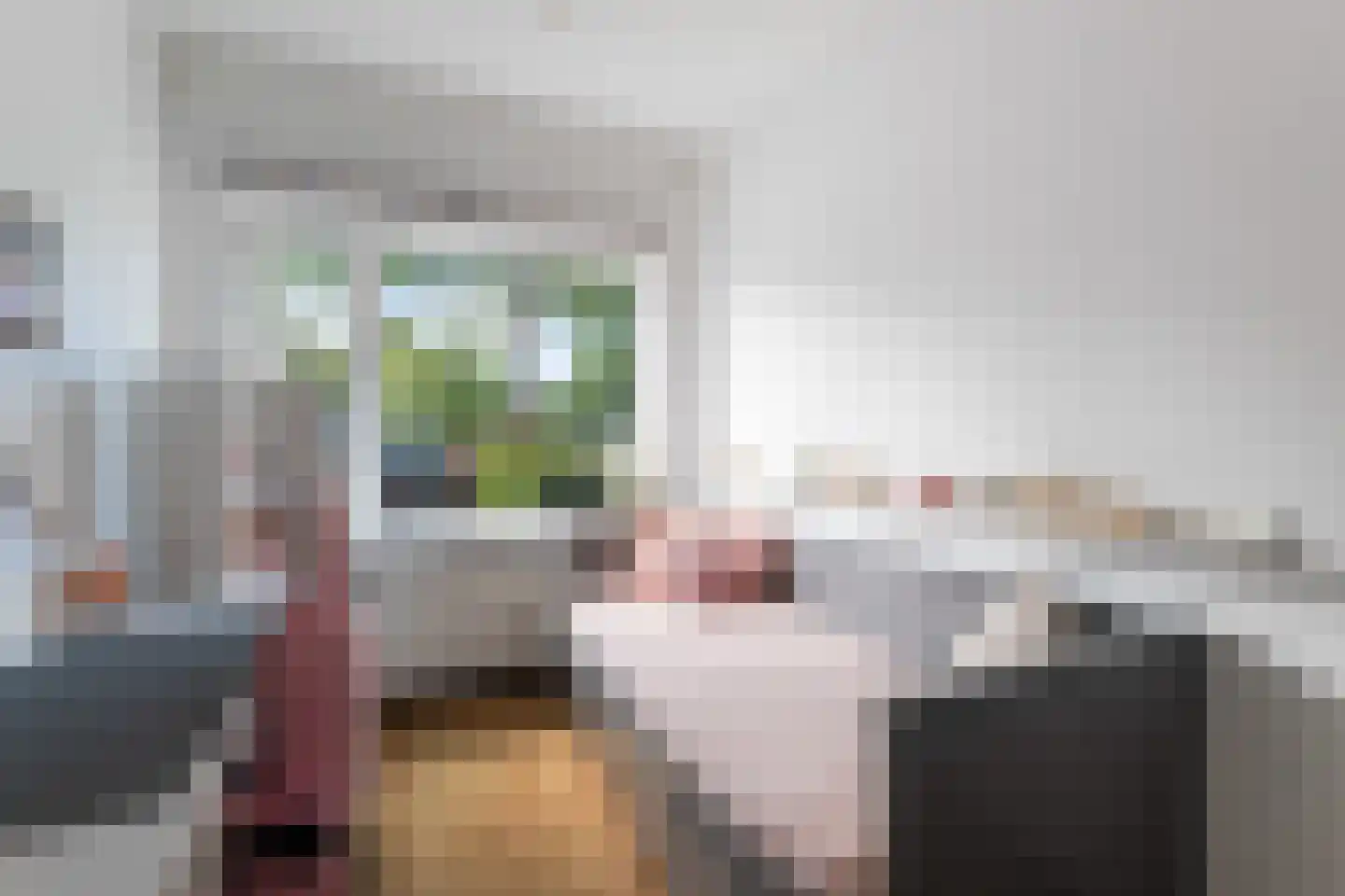 Soestdijksekade 1036 Den Haag thumbnail 35