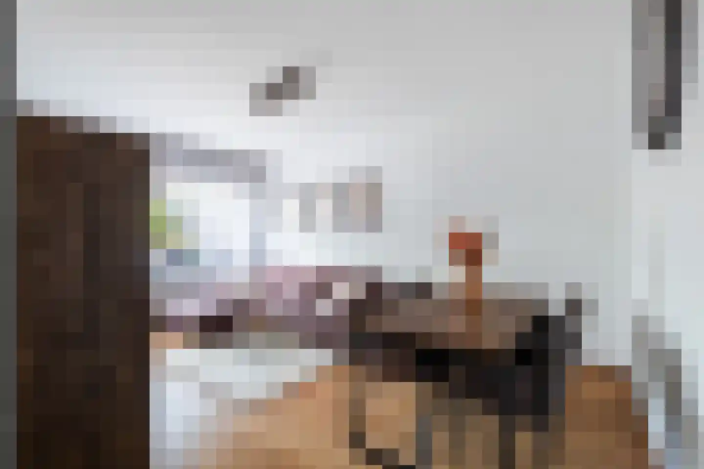 Soestdijksekade 1036 Den Haag thumbnail 8