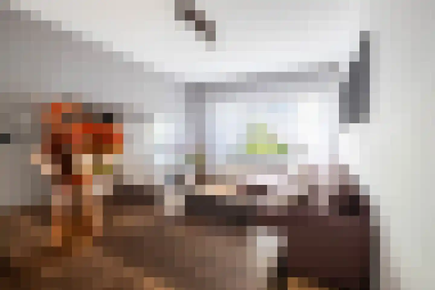 Soestdijksekade 1036 Den Haag thumbnail 9