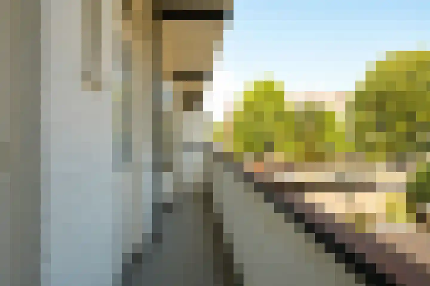 Soestdijksekade 1040 Den Haag thumbnail 10