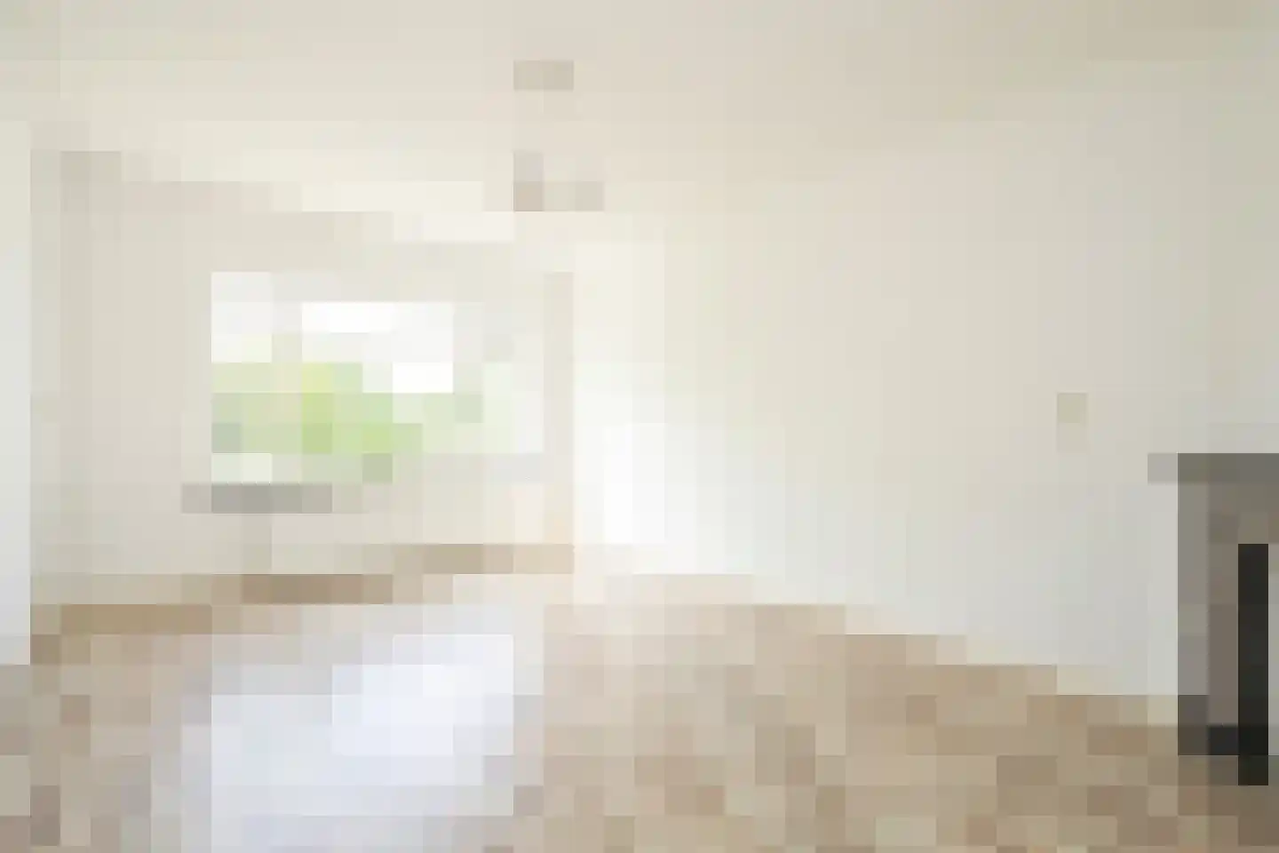 Soestdijksekade 1040 Den Haag thumbnail 4